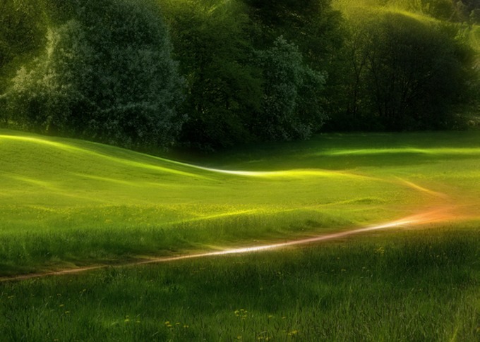 Green Dream